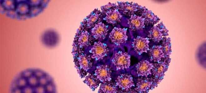HPV - Human Papilloma Virus